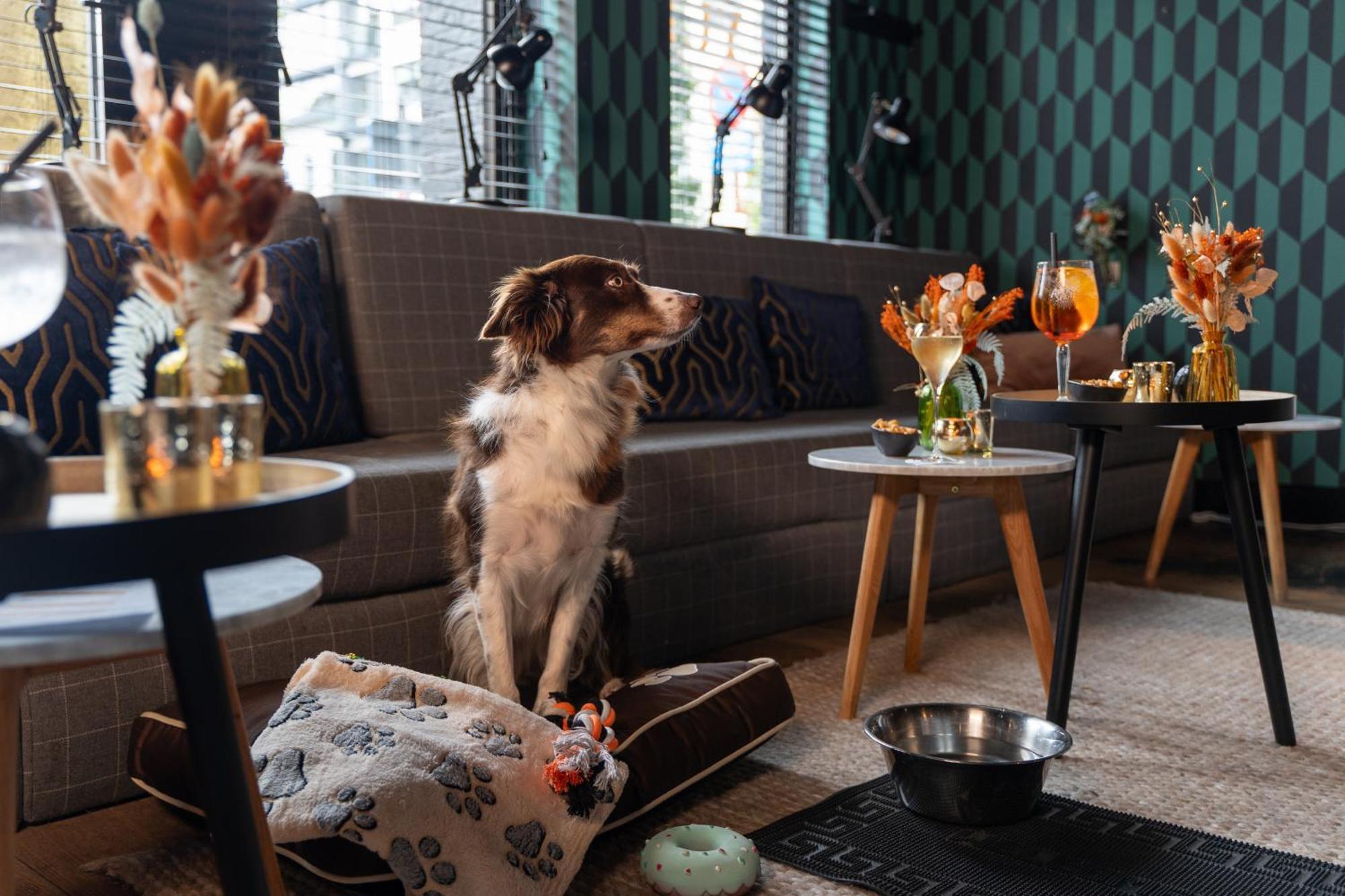 Ibis Styles Hasselt City Centre Extérieur photo