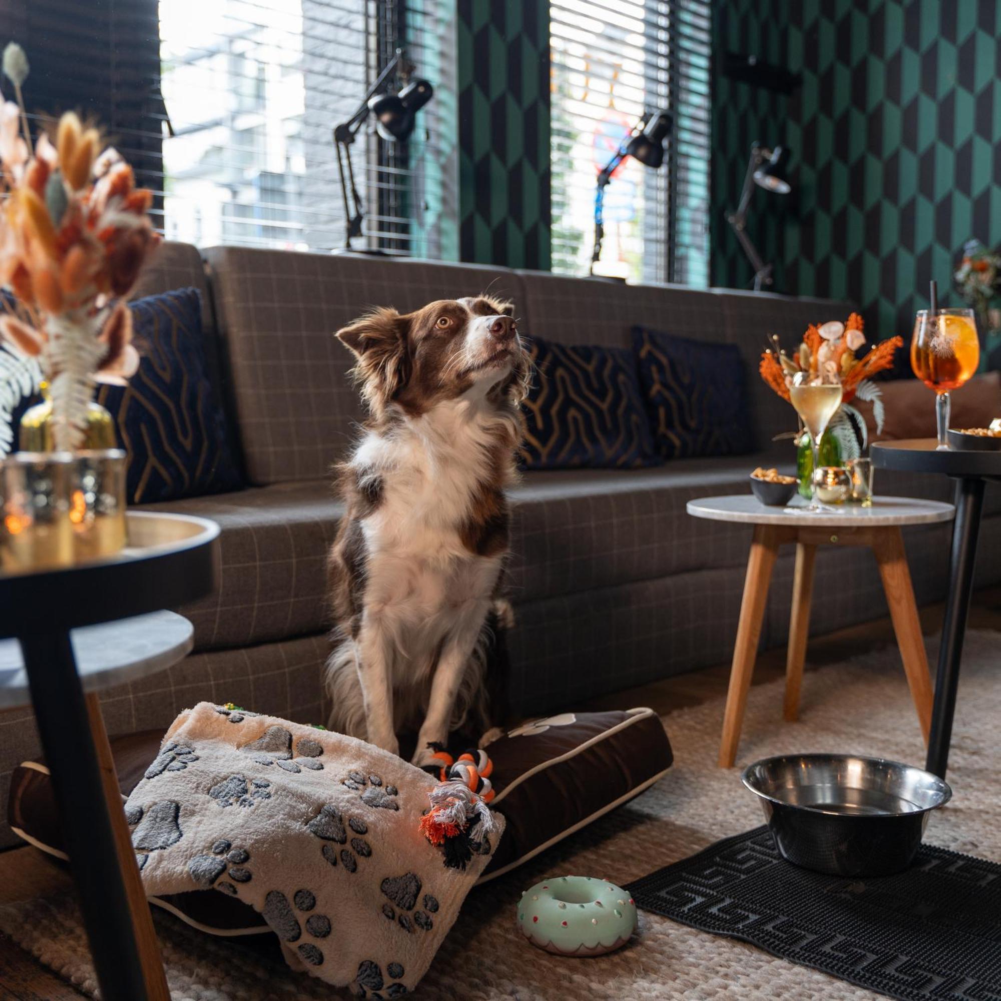 Ibis Styles Hasselt City Centre Extérieur photo